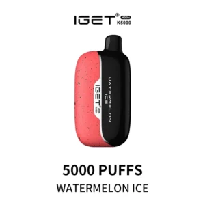 Iget Moon 5000 Puff